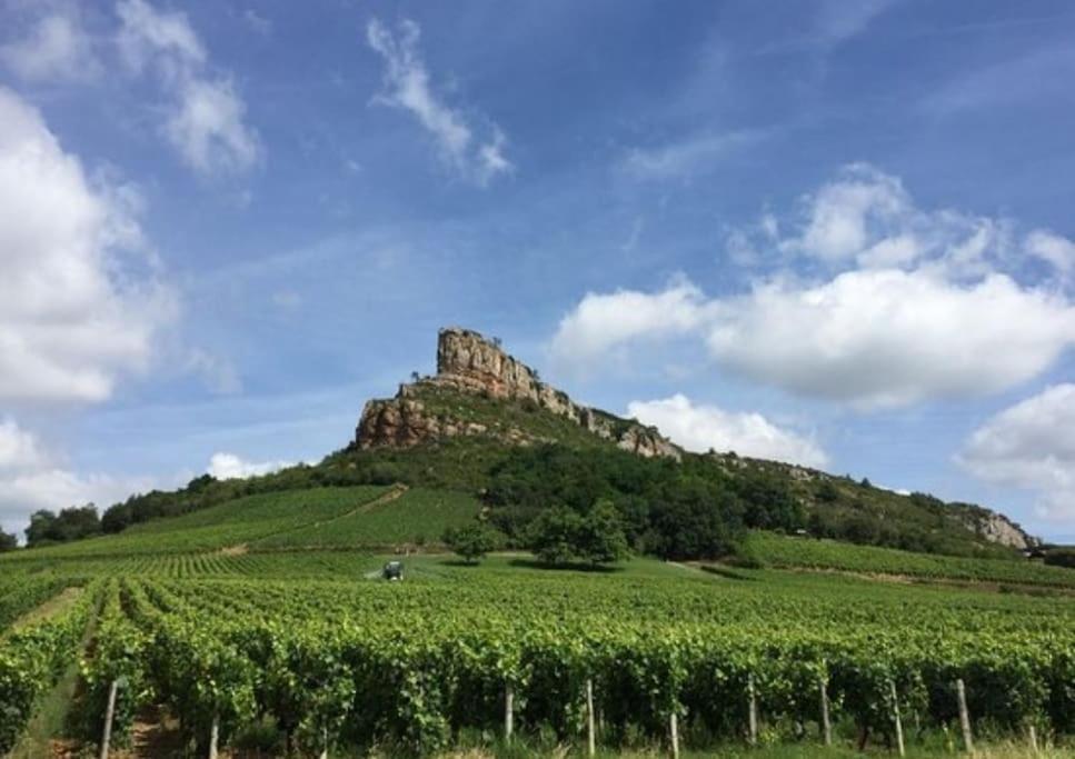 Sejour Detente Au Coeur De Macon Spa,Cine,Bouteille Offerte Esterno foto